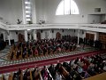 Obraz 176